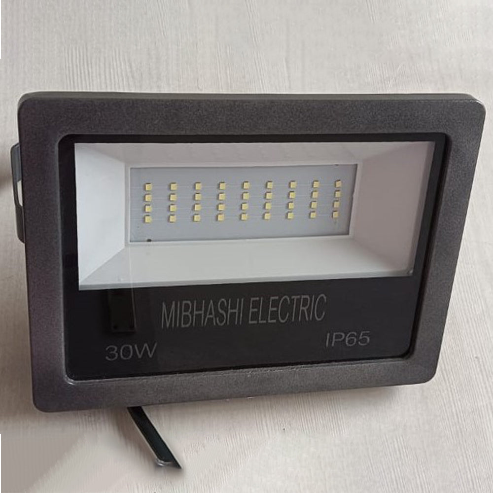 30W Eco Flood Light