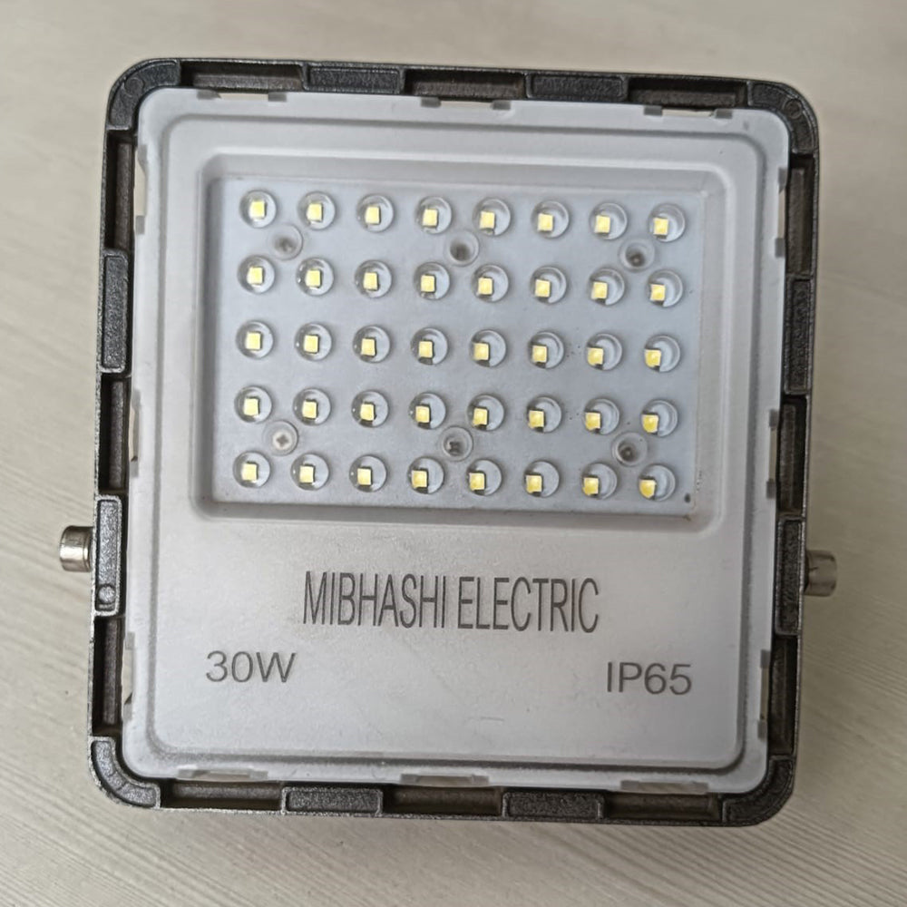 30W Lens Model Flood Light